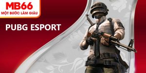 PUBG Esport – เกมในตำนานที่มีความน่าสนใจเป็นพิเศษ