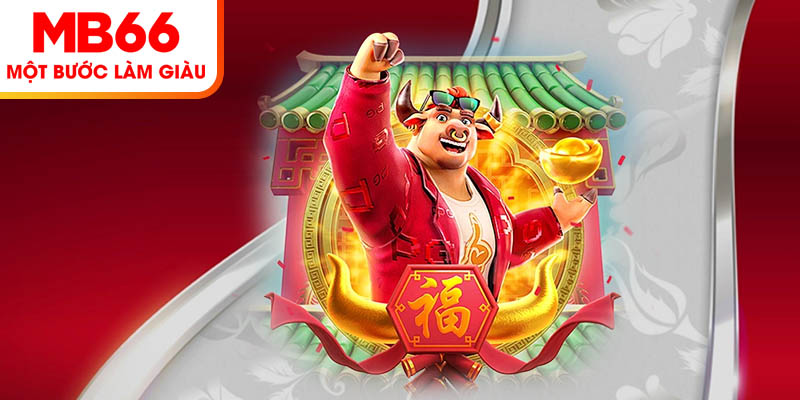 ข้อกำหนดการให้บริการเมื่อสมัคร MB66